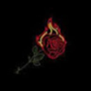 Meet your Posher, Leondra